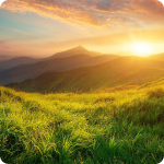 Revival and Reformation